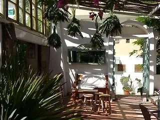 Gorgona (adults Only) Hotel