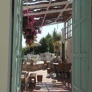 Gorgona (adults Only)